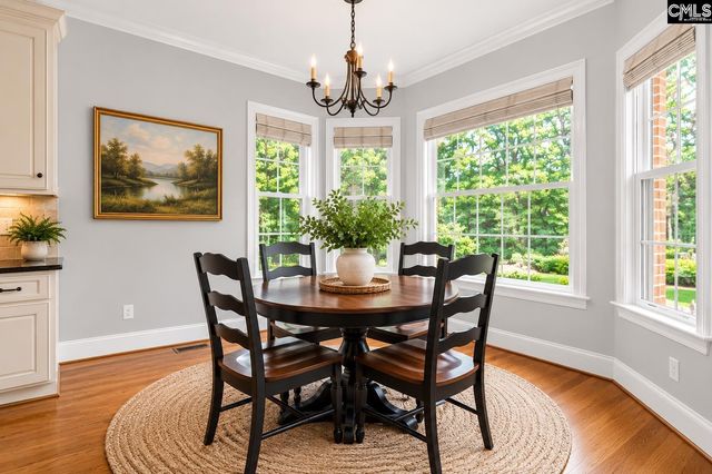 309 Bent Oak Drive, Chapin, SC 29036