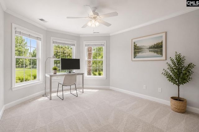 309 Bent Oak Drive, Chapin, SC 29036