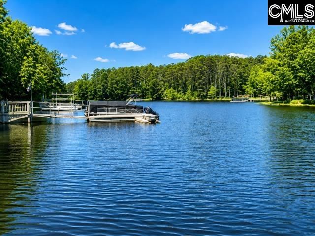 309 Bent Oak Drive, Chapin, SC 29036