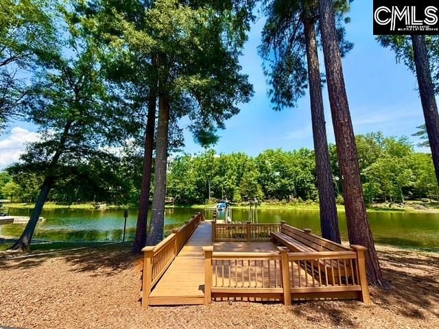 309 Bent Oak Drive, Chapin, SC 29036