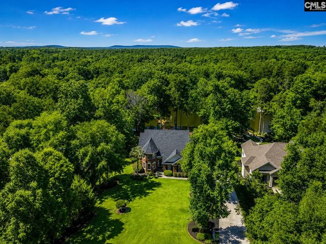 309 Bent Oak Drive, Chapin, SC 29036