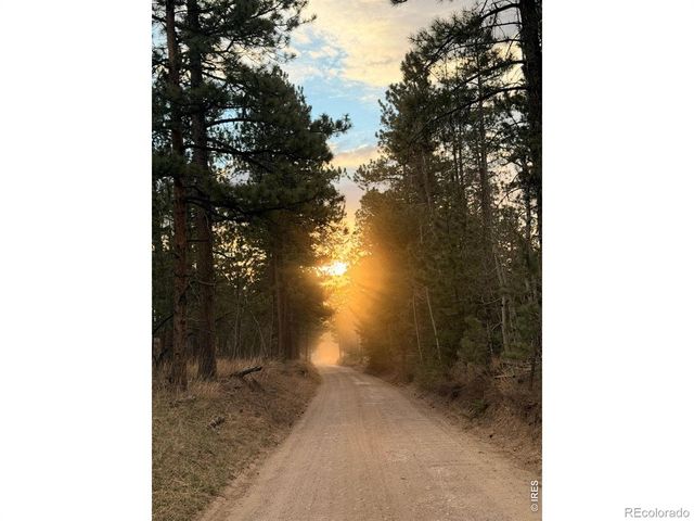 892 Stratton Park Road, Bellvue, CO 80512