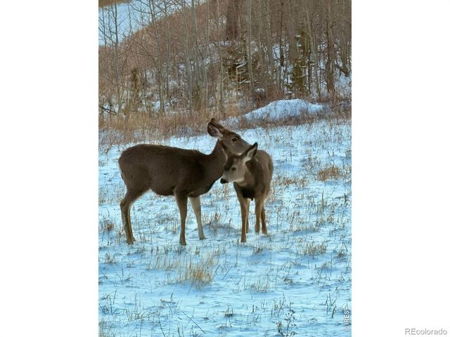 892 Stratton Park Road, Bellvue, CO 80512