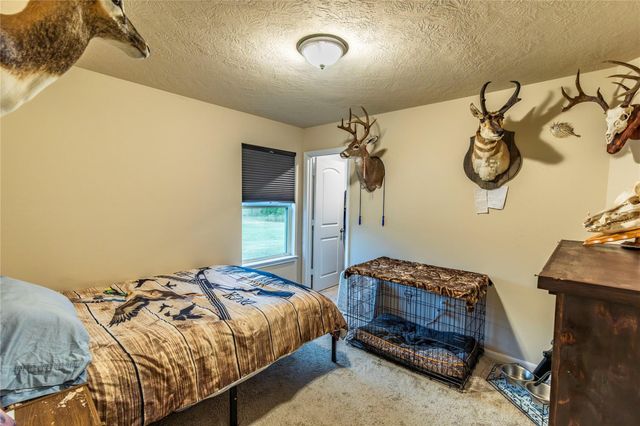 1035 Wavra Lane, New Ulm, TX 78950