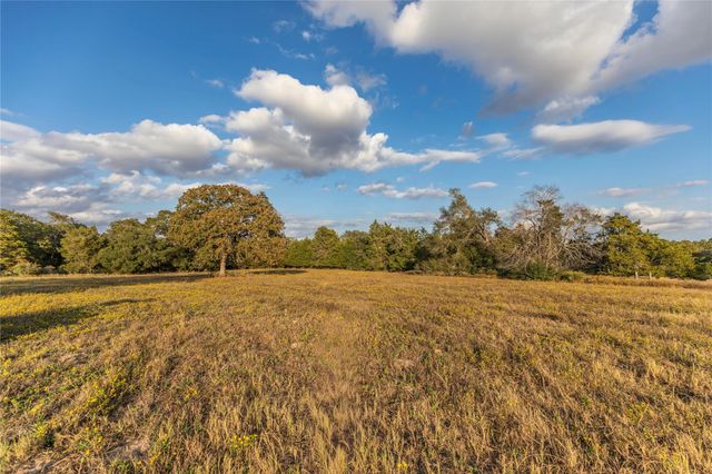 1035 Wavra Lane, New Ulm, TX 78950