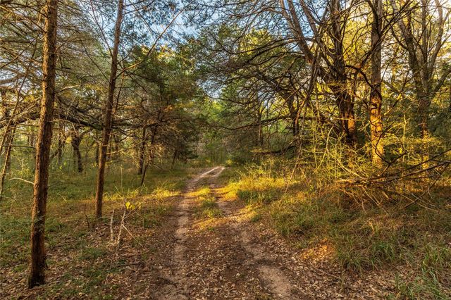 1035 Wavra Lane, New Ulm, TX 78950