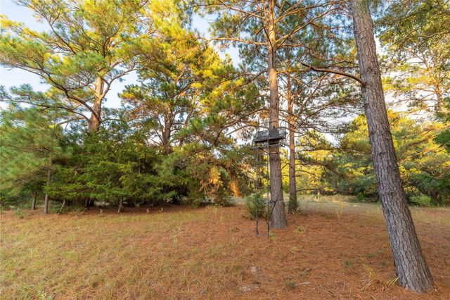 1035 Wavra Lane, New Ulm, TX 78950