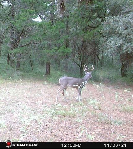 1035 Wavra Lane, New Ulm, TX 78950