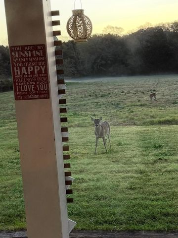 1035 Wavra Lane, New Ulm, TX 78950