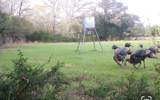 1035 Wavra Lane, New Ulm, TX 78950