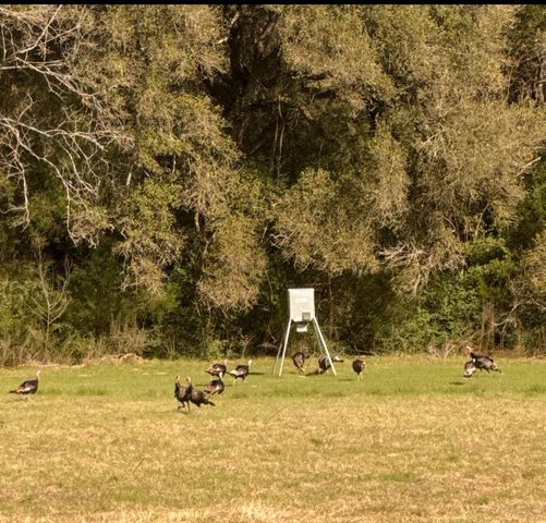 1035 Wavra Lane, New Ulm, TX 78950