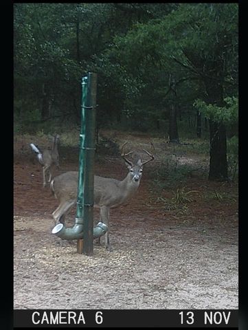 1035 Wavra Lane, New Ulm, TX 78950