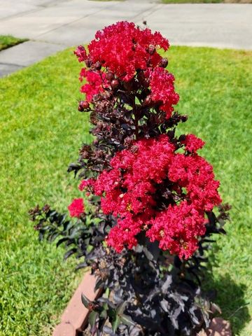 21235 Lily Springs Drive, Porter, TX 77365