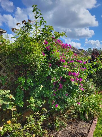 21235 Lily Springs Drive, Porter, TX 77365