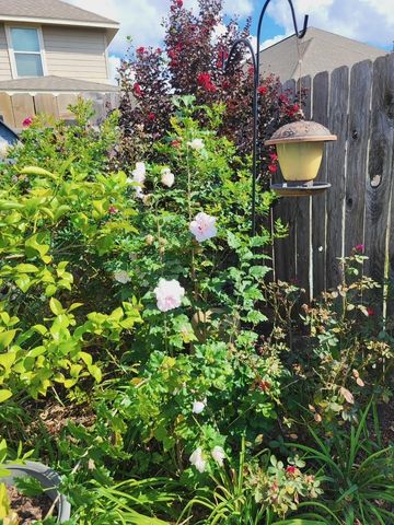 21235 Lily Springs Drive, Porter, TX 77365