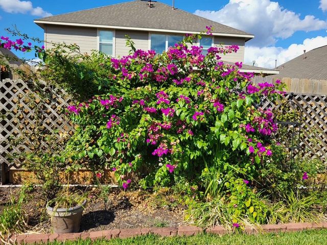 21235 Lily Springs Drive, Porter, TX 77365