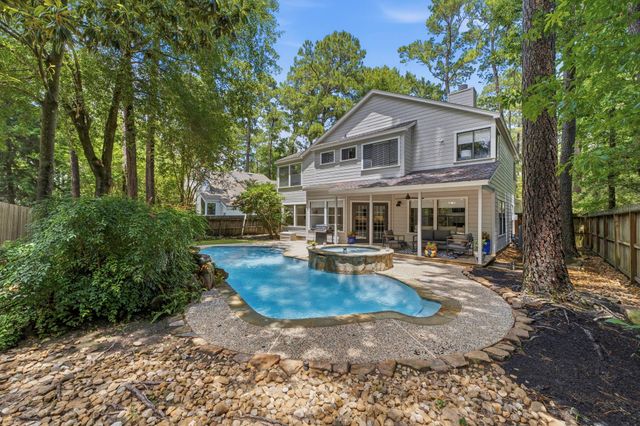 24 Gannet Hollow Place, The Woodlands, TX 77381