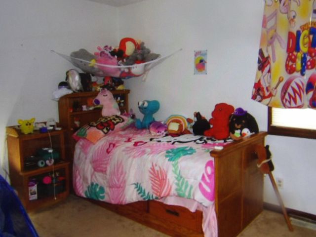 832 W Raymond Street W, Harrisburg, IL 62946