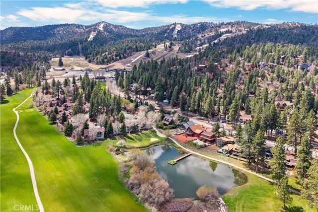 43072 Goldmine Woods, Big Bear Lake, CA 92315