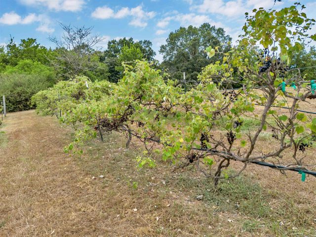 99 Sandtown Road, Morrilton, AR 72110