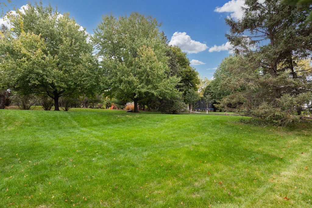 19054 Magenta Bay, Eden Prairie, MN 55347 — photo 5