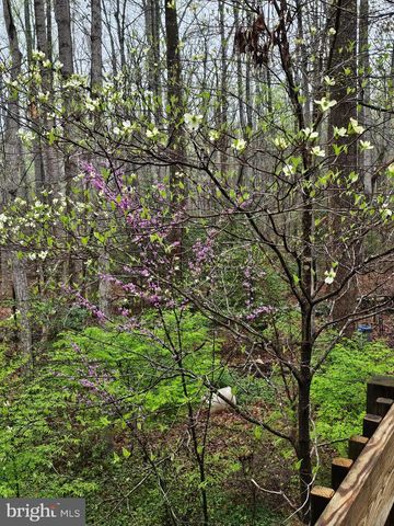 13437 BRISTOW RD, Nokesville, VA 20181