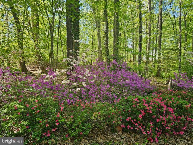 13437 BRISTOW RD, Nokesville, VA 20181