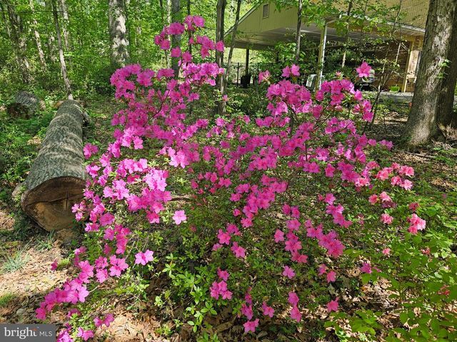 13437 BRISTOW RD, Nokesville, VA 20181