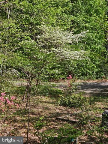 13437 BRISTOW RD, Nokesville, VA 20181