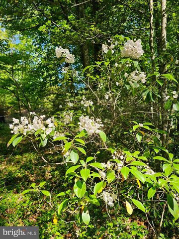 13437 BRISTOW RD, Nokesville, VA 20181