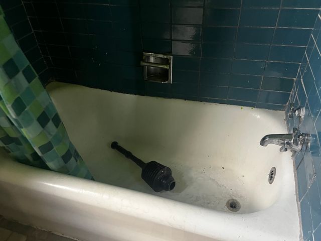 8226 S Paulina Street, Chicago, IL 60620