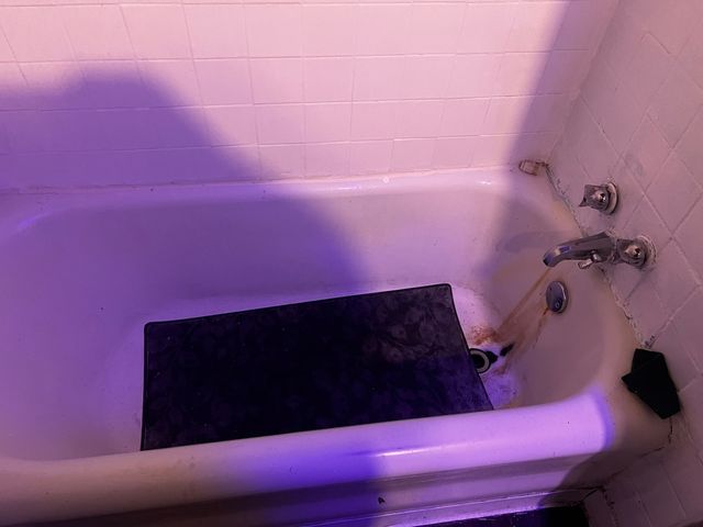 8226 S Paulina Street, Chicago, IL 60620