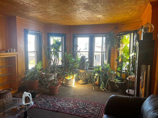 8226 S Paulina Street, Chicago, IL 60620