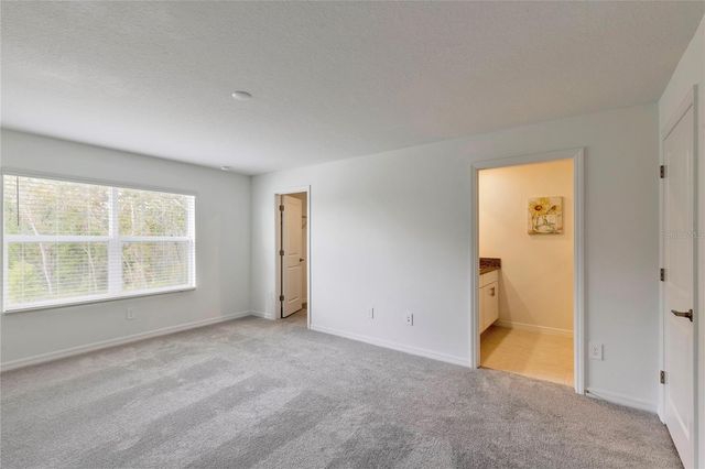 11091 WISHING CLOUD ROAD, Land O Lakes, FL 34638