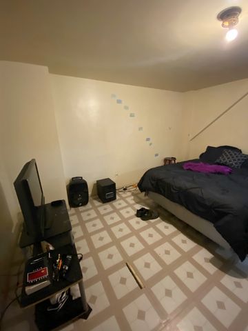 3806 S Wolcott Avenue, Chicago, IL 60609