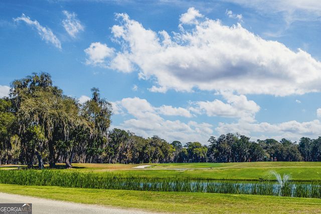 1079 Mayflower Road NE, Townsend, GA 31331