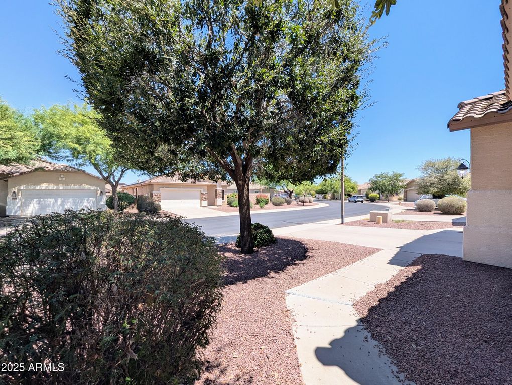 16635 N 169TH Avenue, Surprise, AZ 85388 — photo 5
