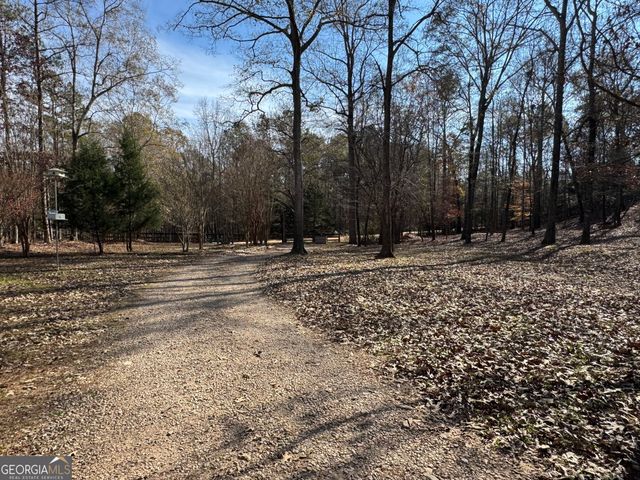 100 Lakeview Drive, Colbert, GA 30628