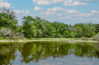 TBD (349.84 Acres) County Road 125, Ledbetter, TX 78946