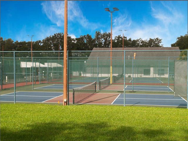 24927 PINE HILL, Leesburg, FL 34748