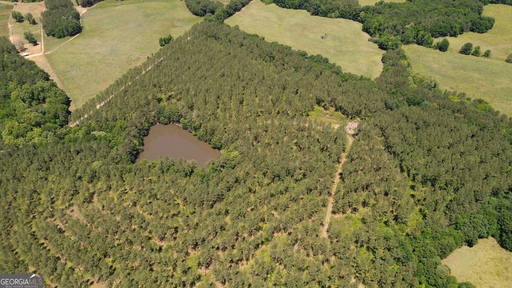 0 Flatwoods Road River Road & Colonel Dixon Road, Elberton, GA 30635 — photo 4