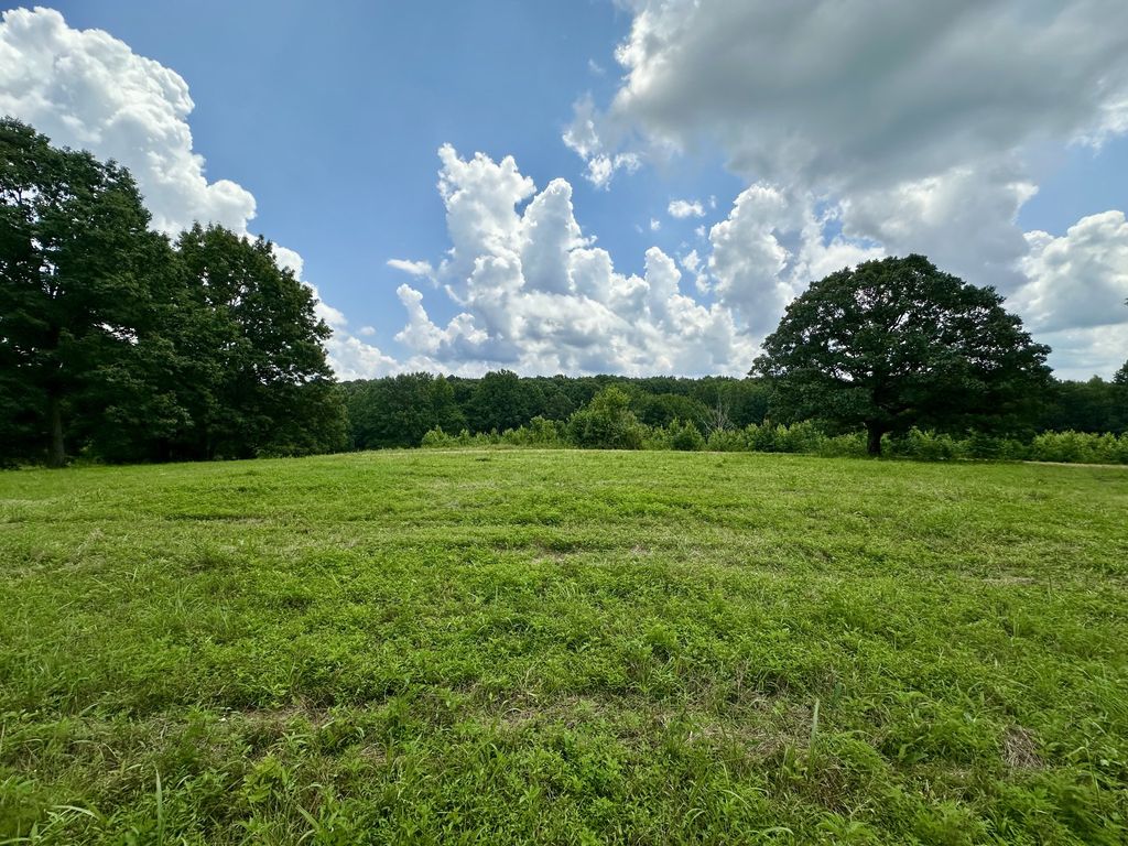 0 Darrell Rye Road, Erin, TN 37061