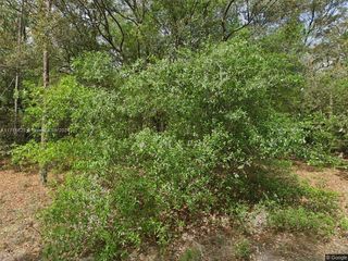 215 WILSON AV, Other City - In The State Of Florida, FL 32148