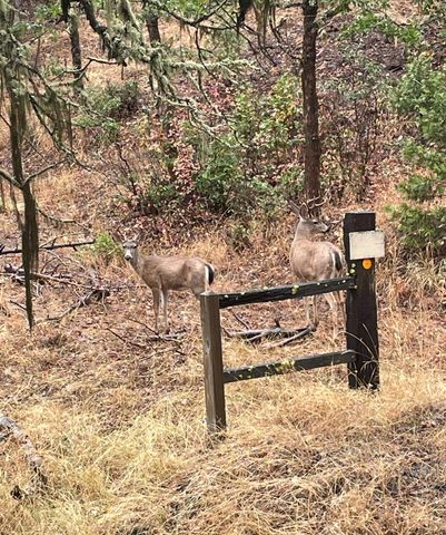 300 Arrowhead Pass, Jacksonville, OR 97530