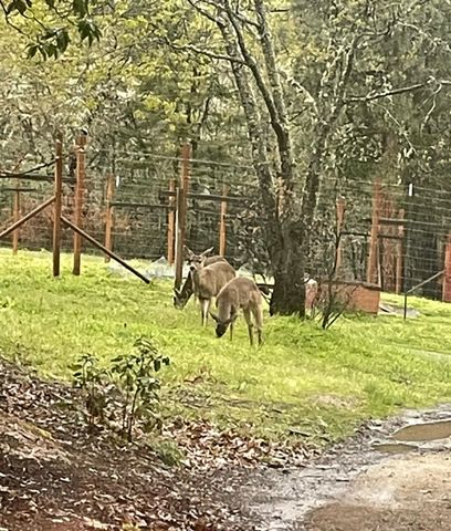 300 Arrowhead Pass, Jacksonville, OR 97530