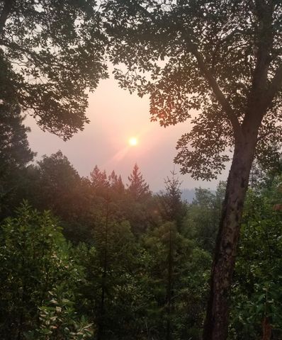 300 Arrowhead Pass, Jacksonville, OR 97530