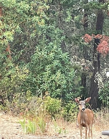 300 Arrowhead Pass, Jacksonville, OR 97530