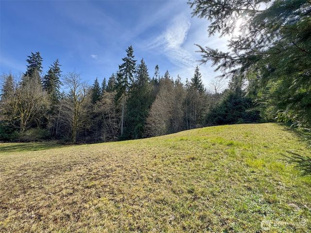 0 Lot 18 Delguzzi Drive, Port Angeles, WA 98362