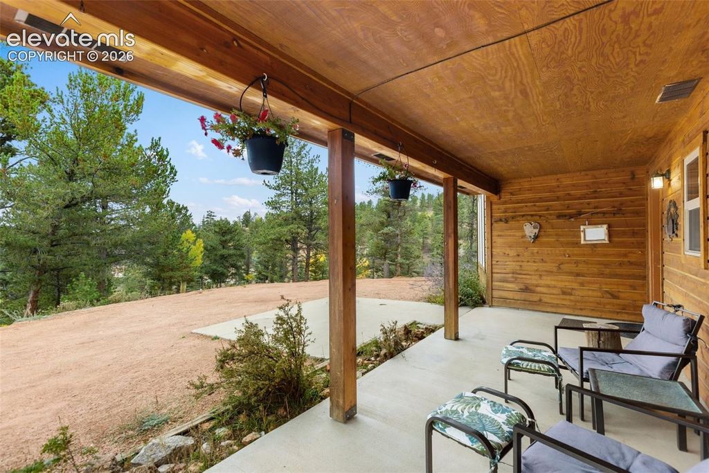 324 Celtic Run, Florissant, CO 80816 — photo 2