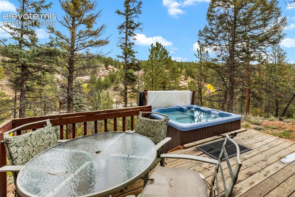 324 Celtic Run, Florissant, CO 80816 — photo 4